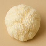 Lion's Mane