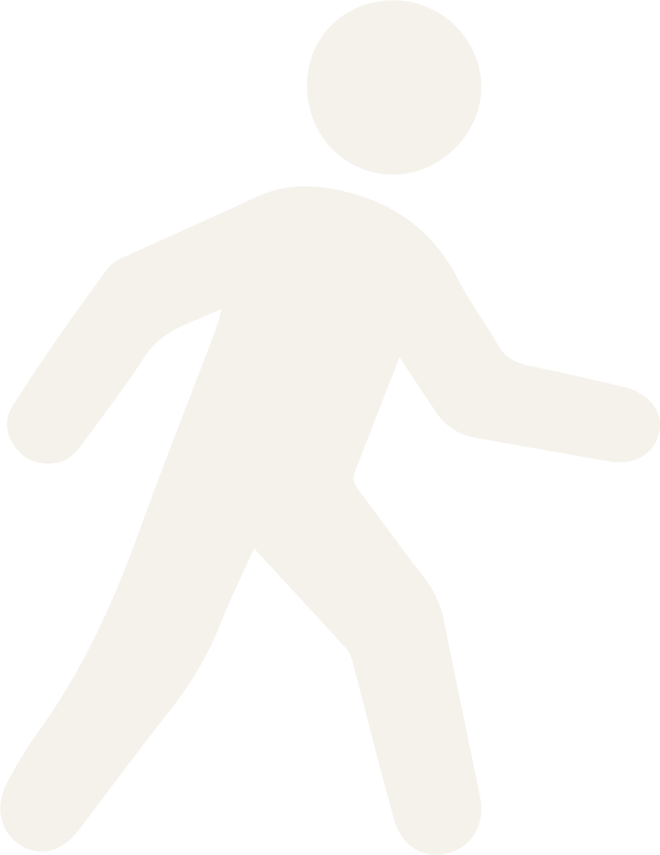 Feature icon