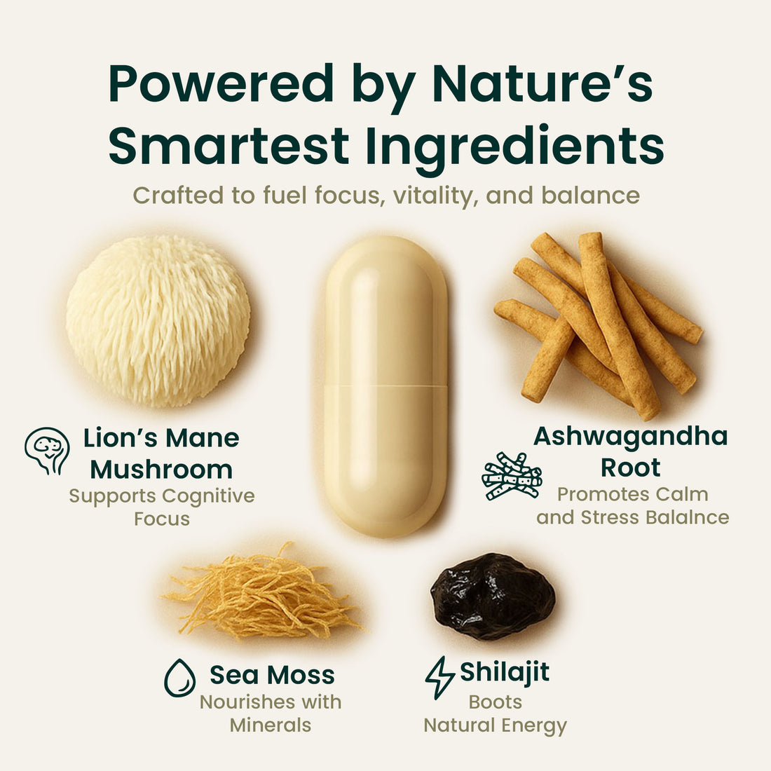 HerbHue Align Ritual – Ashwagandha, Lion’s Mane, Sea Moss & Shilajit for Everyday Vitality