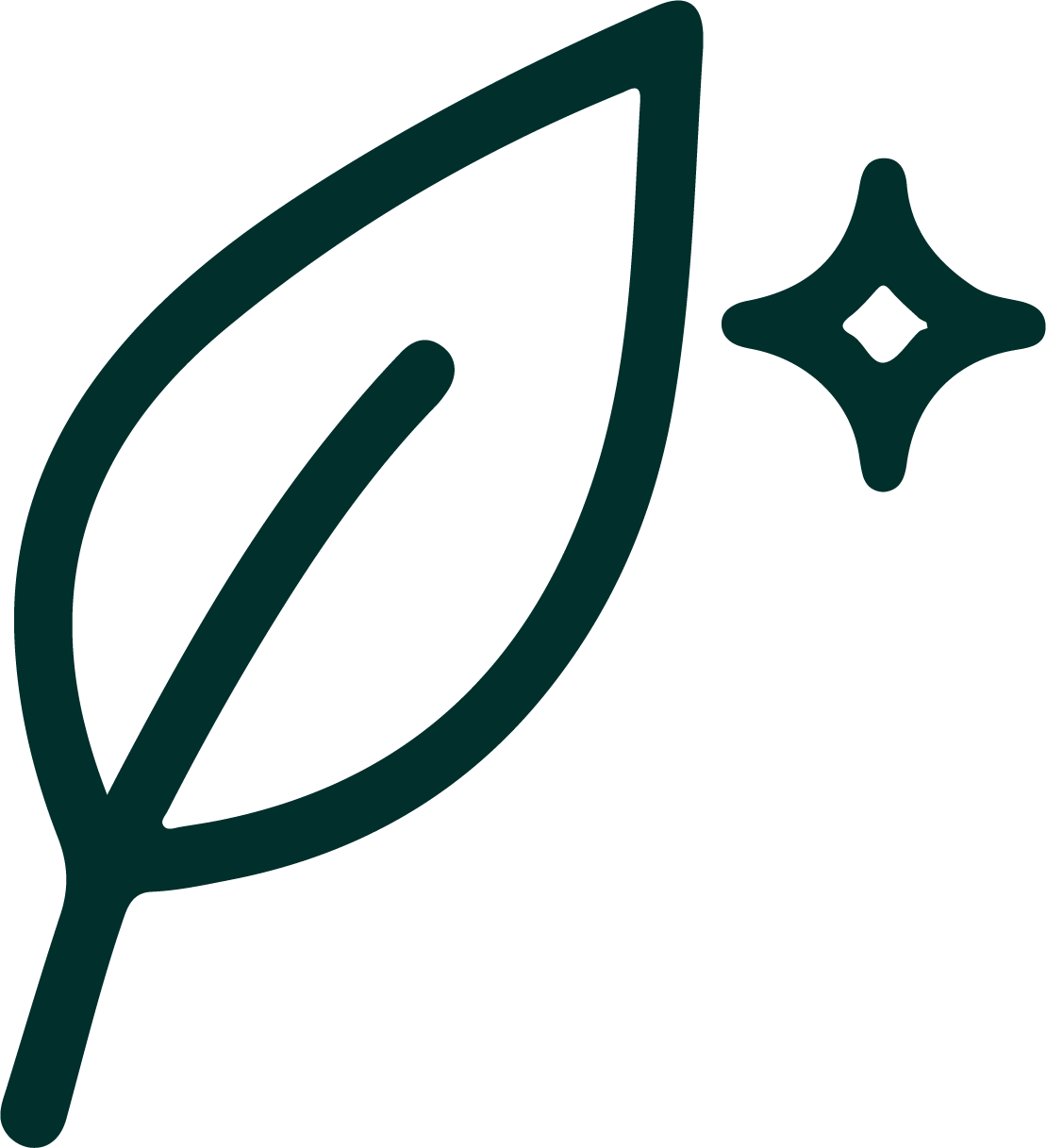 Feature icon
