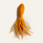 Cordyceps Mushroom