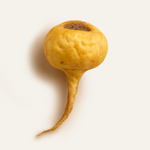 Maca Root