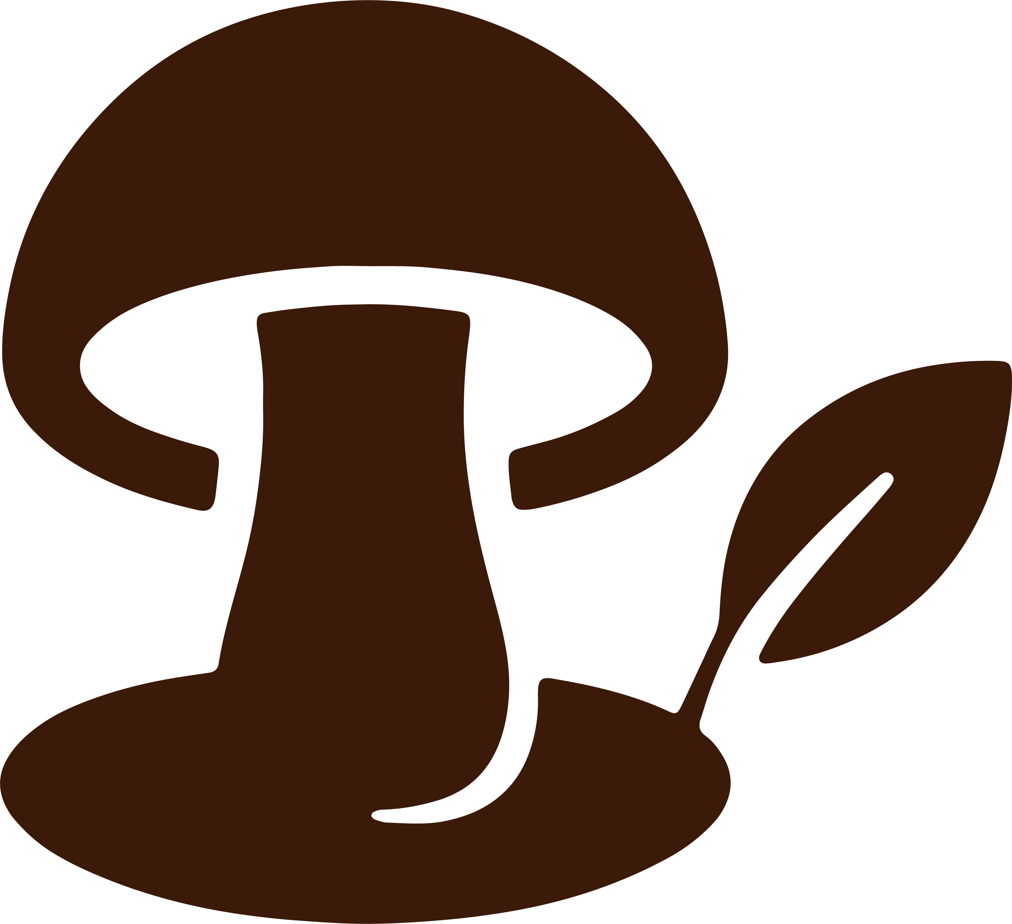 Feature icon
