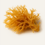 Sea Moss